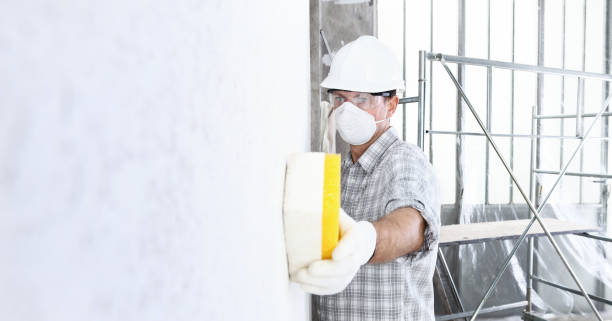 Best Environmental Consulting for Mold Prevention in Osseo, MN